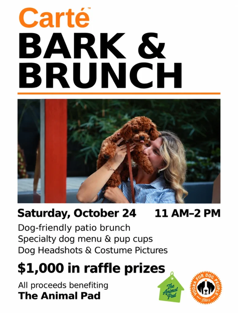 Bark & Brunch dog-friendly patio brunch benefiting The Animal Pad at Carté Hotel, Little Italy, San Diego